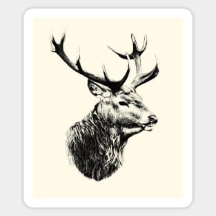 Deer portrait Sticker